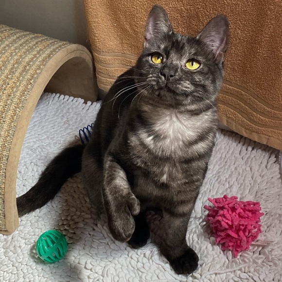 Meet your Posher, Val - Picture 10 of 12